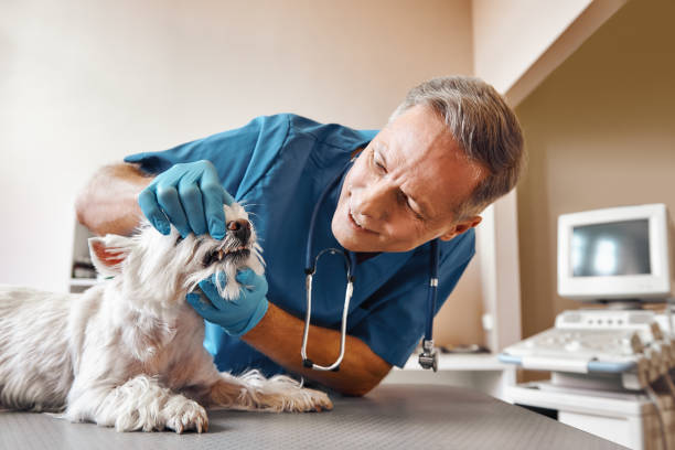 Best Emergency Tooth Extraction in Hazen, AR